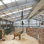 No monkey business as creature comforts come first No monkey business as creature comforts come first