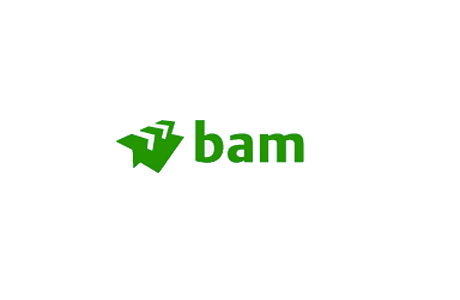 BAM Properties