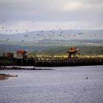 Ayrshire conservation project gets green light