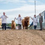 Cattle ‘flyover’ in contention for top industry award
