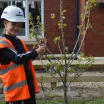 Robertson secures carbon neutral business status Robertson-carbon-neutral