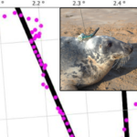 New study examines impact of sea infrastructure on marine life