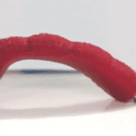 ‘Super-stretchy’ worm robots could be used in construction