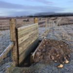 Deer leaps to offer safe passage for animal on Highland rail line
