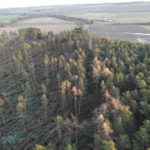 FLS gears up for busy winter after Storm Arwen wreaks havoc on Scottish forests