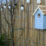 Homeowners encouraged to make their gardens wildlife-friendly