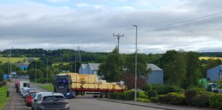 Muir Timber