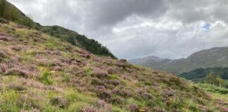Natural heath