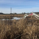 Wader scrape being created
