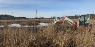 Wader scrape being created