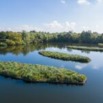 RSE establishes presence in North America Biomatrix floating ecosystems