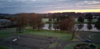 Cooper Park aerial
