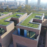 Green roof