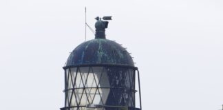 Granton Lighthouse