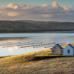 Saltire Society Housing Design Awards set the benchmark