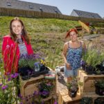 46-home development officially opens in Avoch