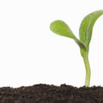Amey to implement winning employee suggestions on reducing carbon footprint