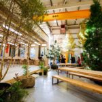 Timber to take leading role in net zero schools