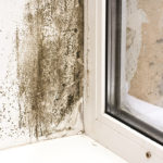 Don’t overlook the roof space when mitigating moisture build-up