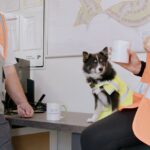 Developer reveals most important aspects for dog owners to consider in new homes