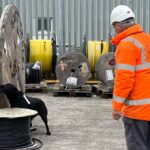 Dog in Network Rail yard