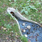 Sustainable drainage systems swale