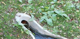 Sustainable drainage systems swale