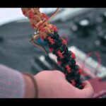 New ‘tentacle-like’ robot could revolutionise subsea infrastructure maintenance Tentacle